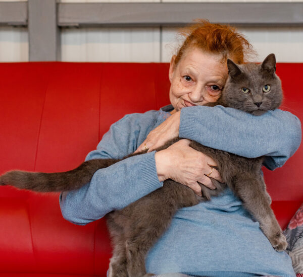 Boarder sitting on couch with cat