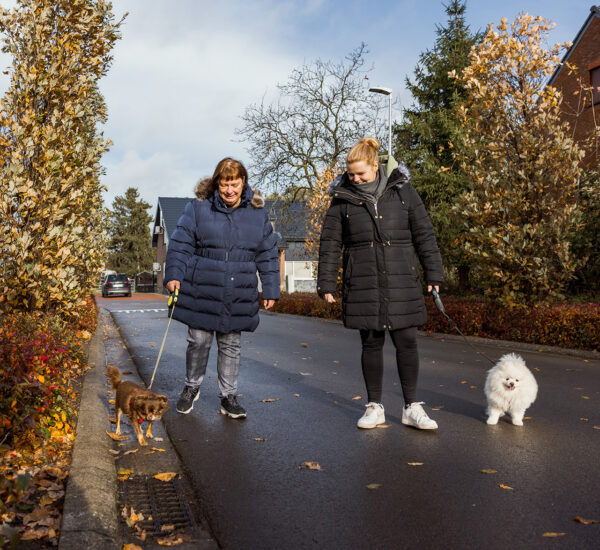 Boarder and foster mother walking with their dogs